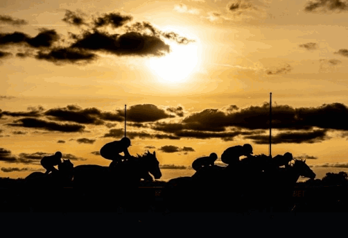 18-02-2026 11-42-18 18-02-2026 11-42-18