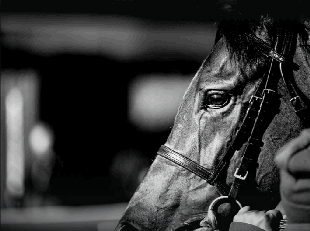 18-02-2026 11-43-05 18-02-2026 11-43-05