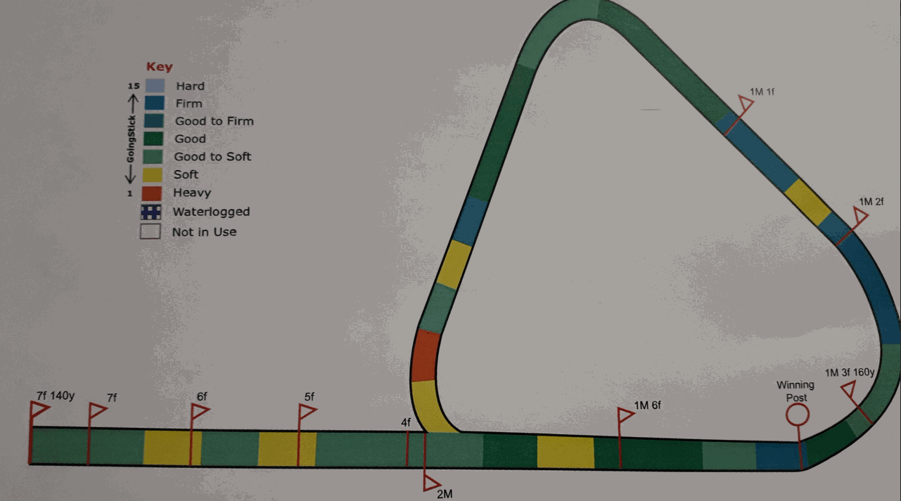 Turf Track Condition 20180811